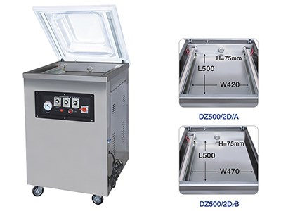 DZ(Q)500/2D Single room deepend vacuum packing machine