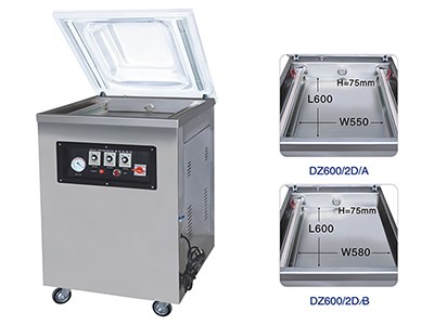DZ(Q)600/2D Single room deepend vacuum packing machine